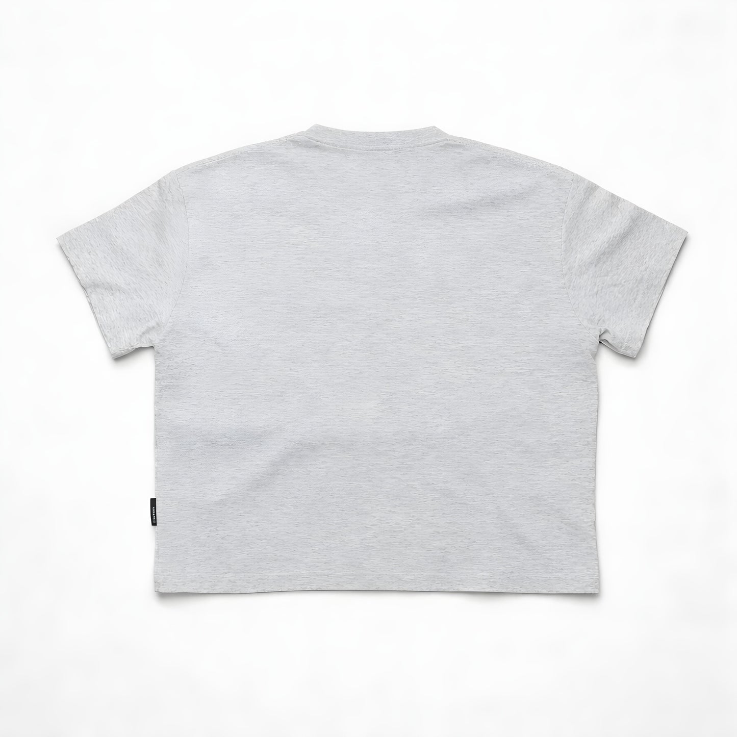 Jack & Jones Project Core Logo T-Shirt — Grey Marl
